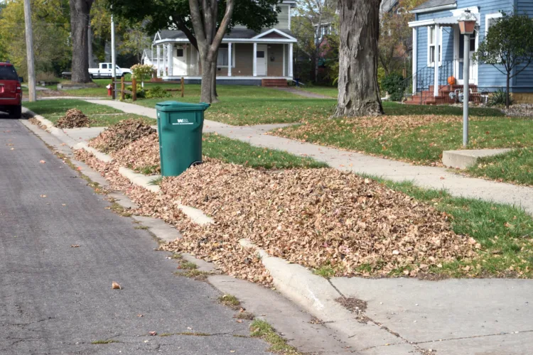 Leaf pickup breezes into 20th year